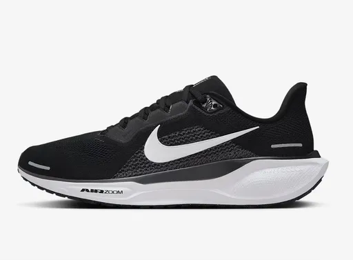 Nike Pegasus 41